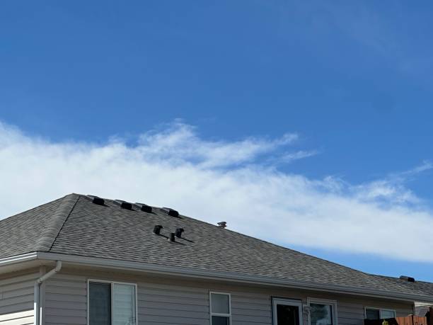 Best Chimney Flashing Repair  in Eaton Estates, OH